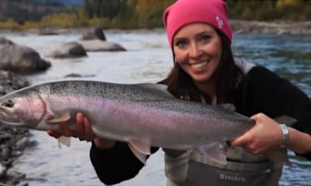 Fishing in British Columbia: A Full Guide to Everything