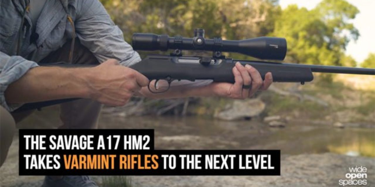 Gun Review: The Savage Arms A17 HM2 Takes Varmint Guns to the Next Level