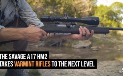 Gun Review: The Savage Arms A17 HM2 Takes Varmint Guns to the Next Level