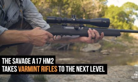 Gun Review: The Savage Arms A17 HM2 Takes Varmint Guns to the Next Level