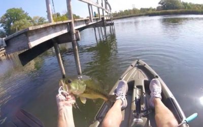 How to Get the Most Out of Late Summer Bass Fishing