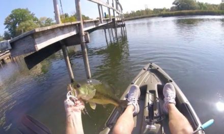 How to Get the Most Out of Late Summer Bass Fishing