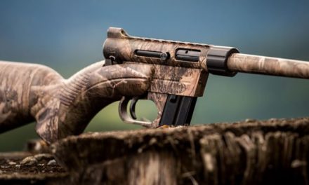 Lean the Odds in Your Favor with the Henry U.S. Survival AR-7