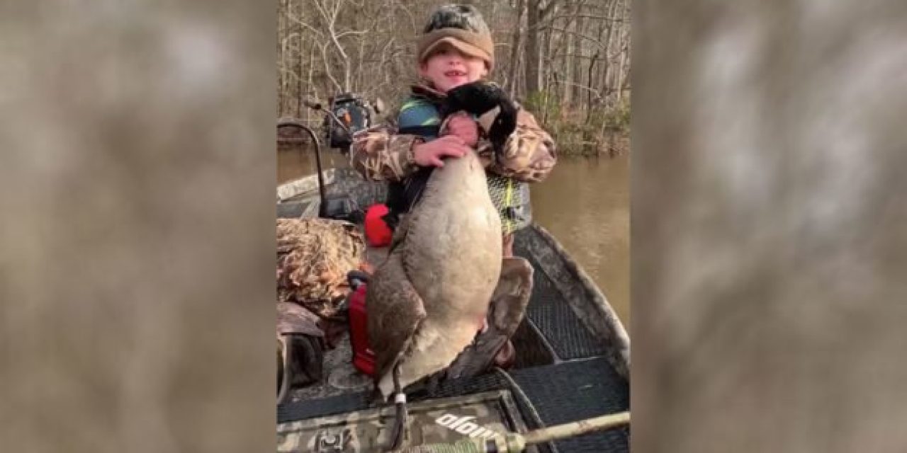 Meet the Goose Hunter With All the Answers