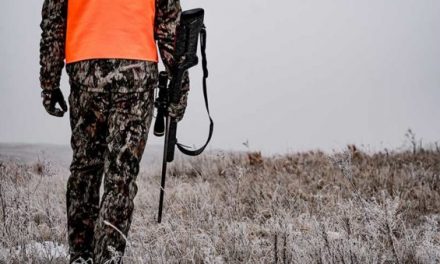 Must-Have Whitetail Gear for 2019