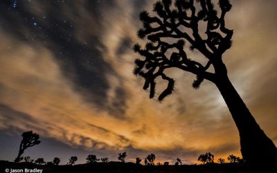 National Park Service Turns 103