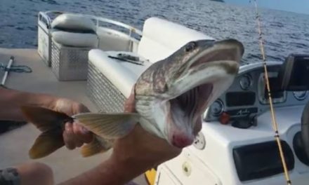 New York Woman Reels in Fish With Two Mouths