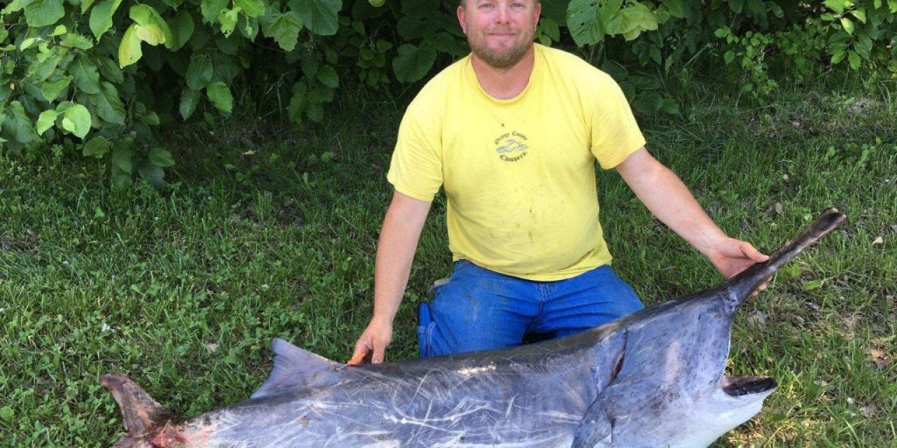 Paddlefish Snagging Permits