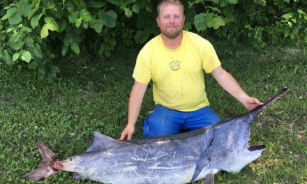 Paddlefish Snagging Permits