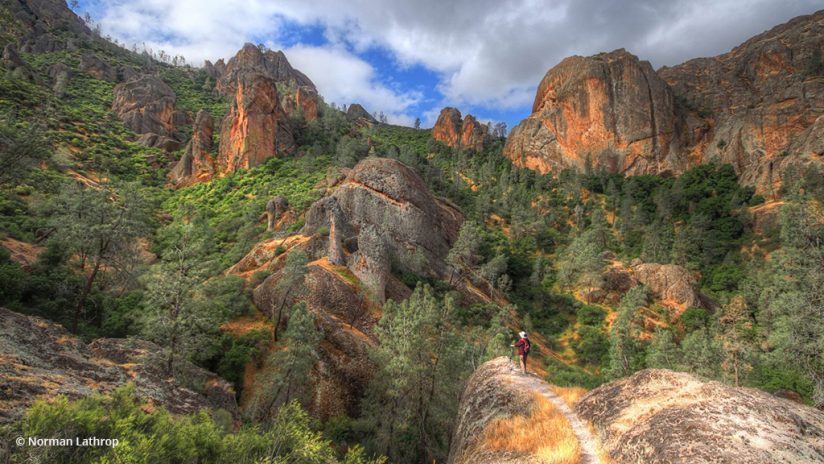 Photo Of The Day: “Pinnacle of My Day” by Norman Lathrop. Location: Pinnacles National Park, California. 