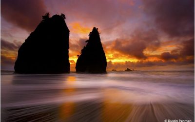Photo Of The Day By Dustin Penman