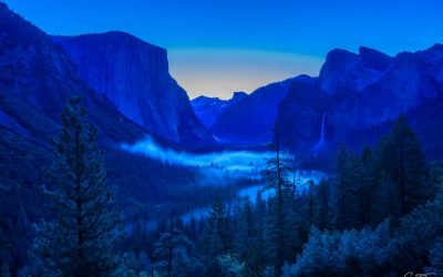 Photo Of The Day By Steve Dorris