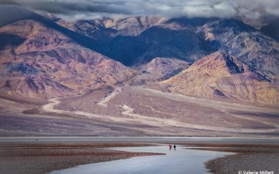 Scale Assignment Winner Valerie Millett