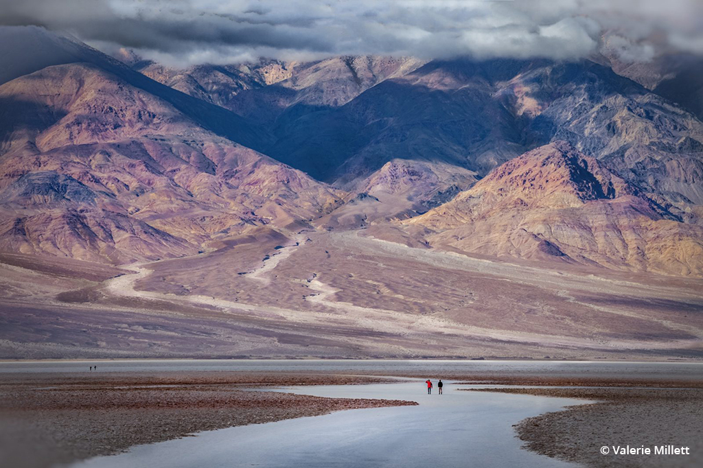 Scale Assignment Winner Valerie Millett