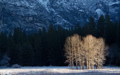 Spotlit Subjects Assignment Winner Douglas Croft
