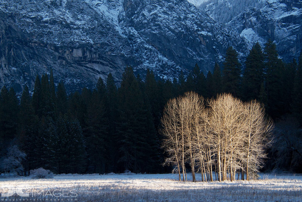 Spotlit Subjects Assignment Winner Douglas Croft