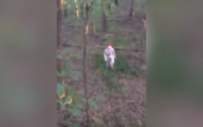 That Time a Clown With a Knife Approached a Hunter in the Woods