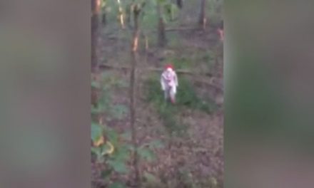 That Time a Clown With a Knife Approached a Hunter in the Woods