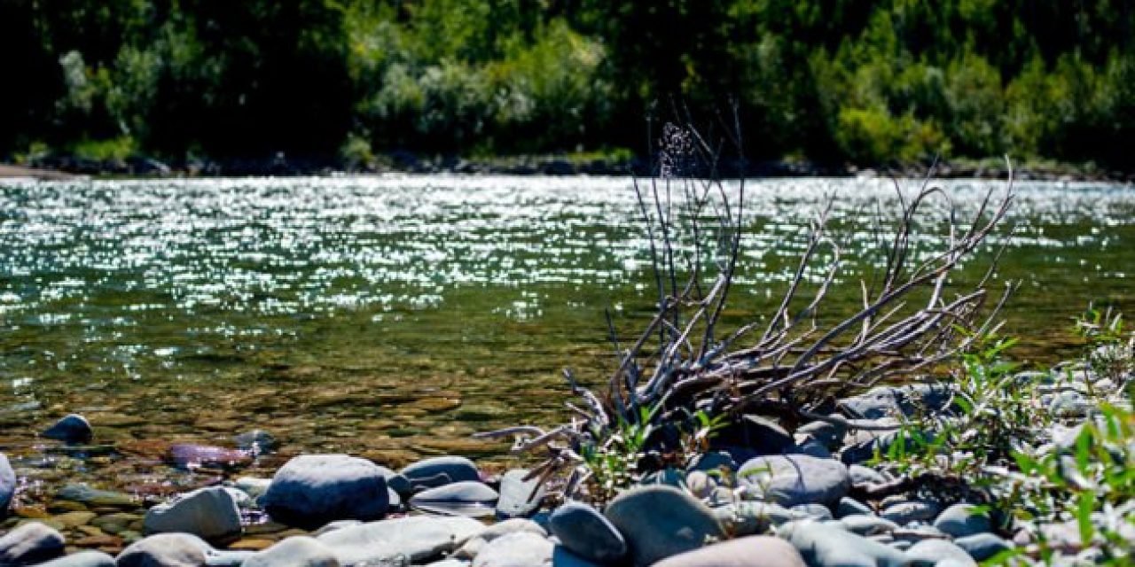 The 10 Best North American River Fishing Spots