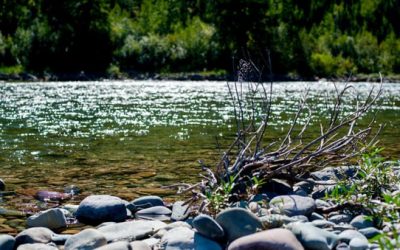 The 10 Best North American River Fishing Spots