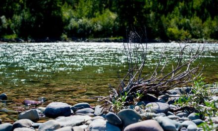 The 10 Best North American River Fishing Spots