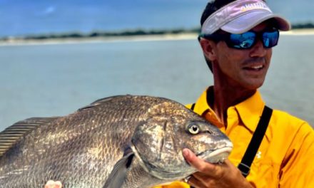 The Secret Coast: Fish the Mississippi Gulf Before the Word Gets Out