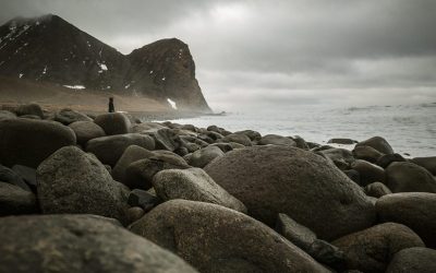 Today’s Smartphone Cameras Really Are Amazing
