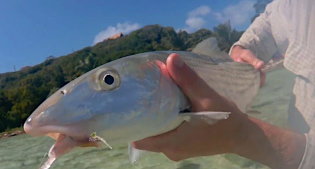 Fishing in the Caribbean