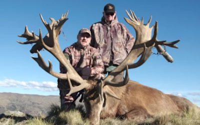 What Species Can You Hunt in New Zealand?