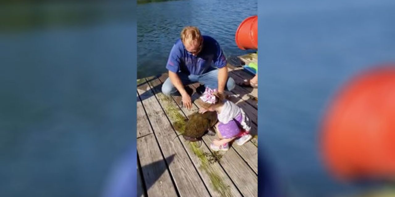4-Year-Old Girl Catches a Flathead Catfish Bigger Than Her