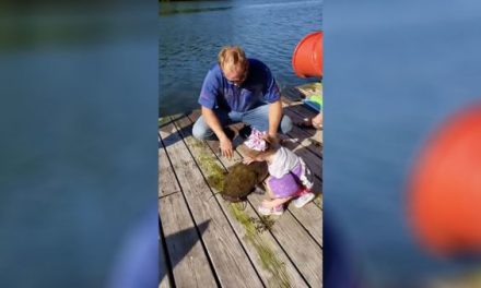 4-Year-Old Girl Catches a Flathead Catfish Bigger Than Her