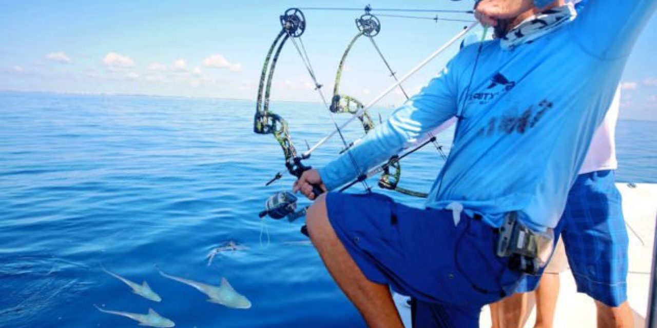 BlacktipH Goes Saltwater Bowfishing for Bonito