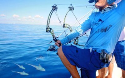 BlacktipH Goes Saltwater Bowfishing for Bonito
