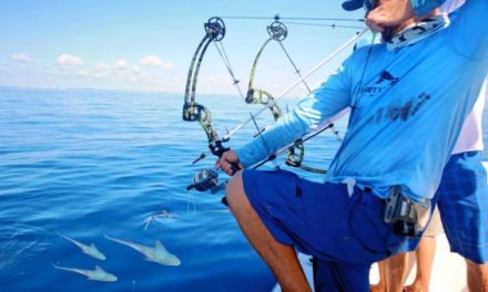 BlacktipH Goes Saltwater Bowfishing for Bonito