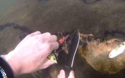 Ever Wonder Just How Many Lures End up at the Bottom of Your Favorite Fishing Spot?