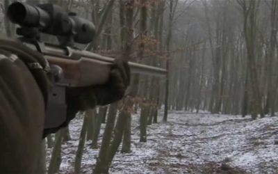 Expert German Marksman Takes Out an Entire Sounder of Hogs
