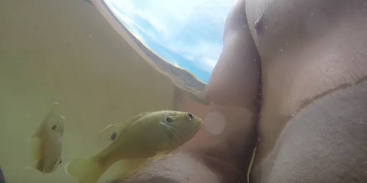 Fish Attacks Unsuspecting Man’s Nipple