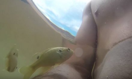 Fish Attacks Unsuspecting Man’s Nipple