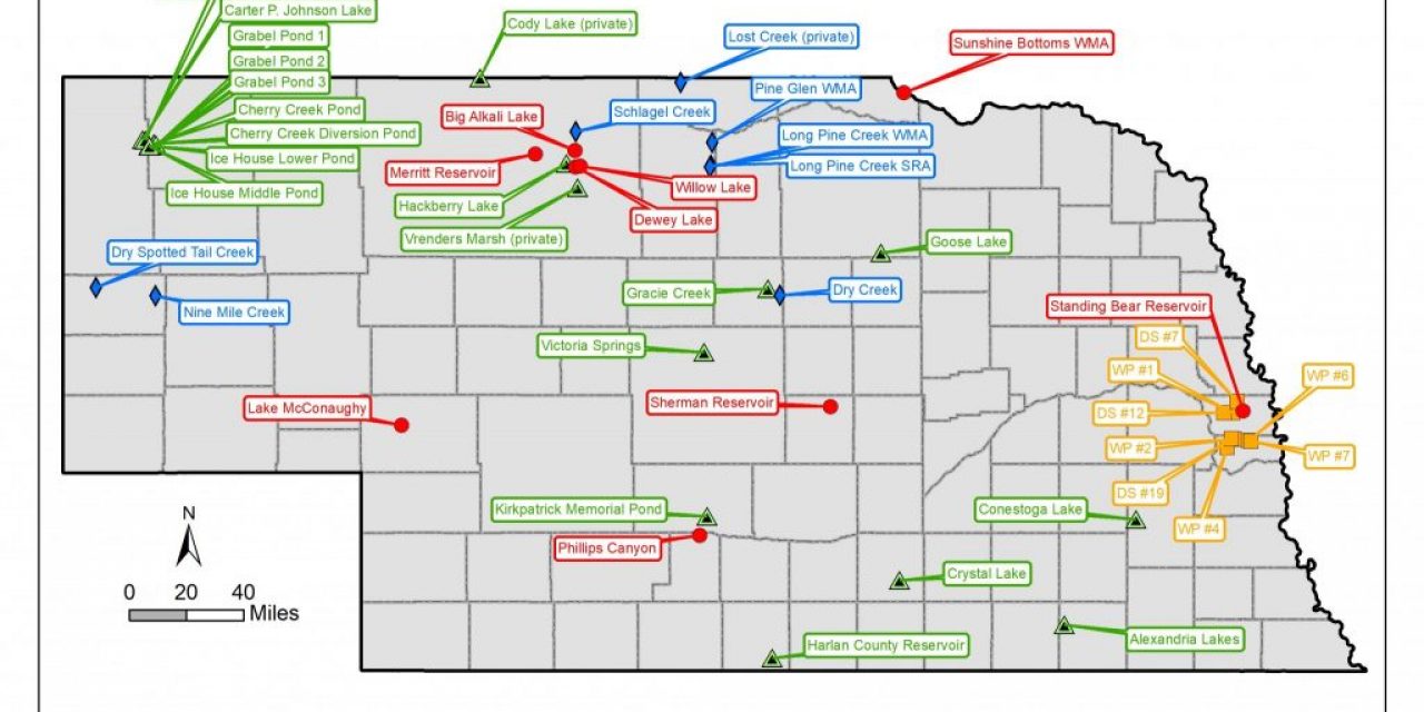 Fisheries Division Projects, 2019