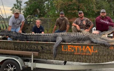 Georgia Father and Daughter Land 14-Foot Alligator, Break State Record