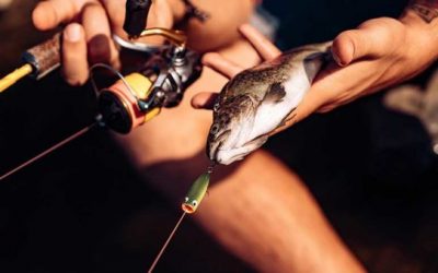 Here Are 9 Overlooked Items From Amazon Fishing Stores