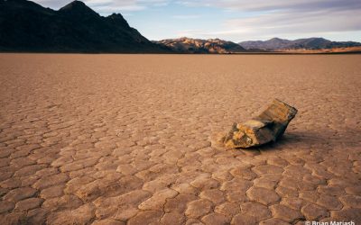 Isolate The Subject In Your Photographs