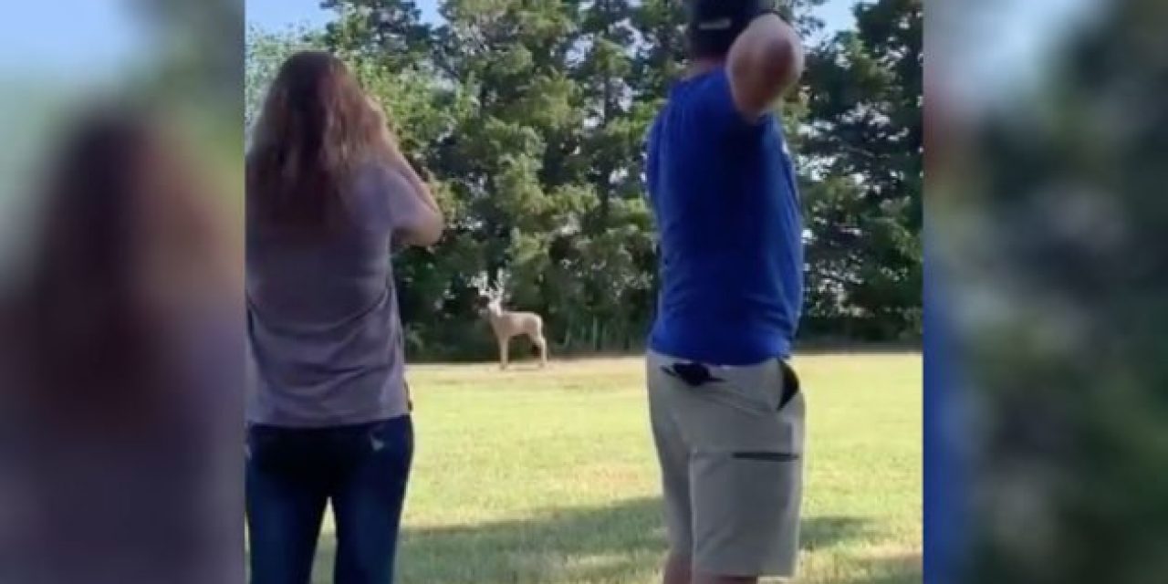 Man Proposes to Girlfriend Using His Compound Bow