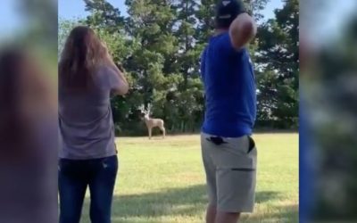 Man Proposes to Girlfriend Using His Compound Bow
