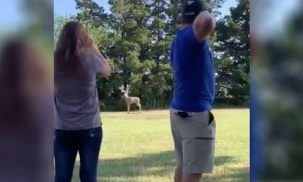 Man Proposes to Girlfriend Using His Compound Bow