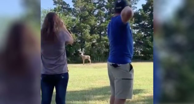 archery marriage proposal