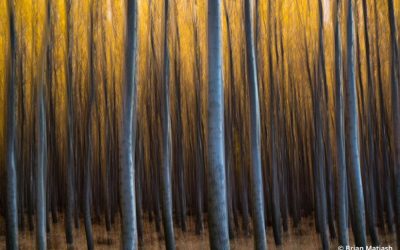 Mesmerize With Repeating Patterns In Your Photos