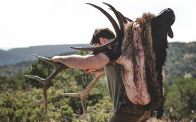 Must-Have Elk Gear for 2019