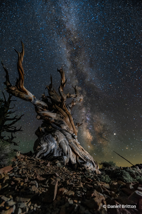 Today’s Photo Of The Day is “Ancient Milky Way” by Daniel Britton. Location: Bishop, California.