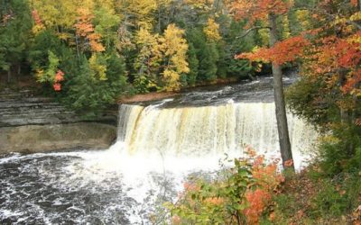 Plan Your Autumn Camping Trip Around These Peak Fall Colors Dates